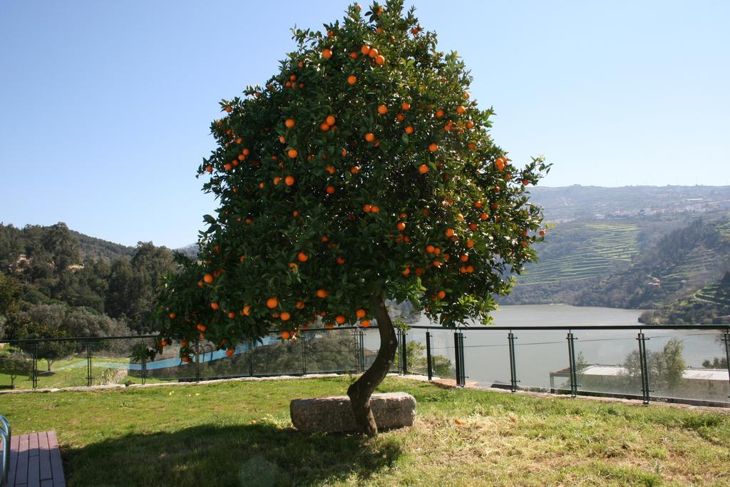 Quinta Das Quintas & Spa Baiao Exterior photo